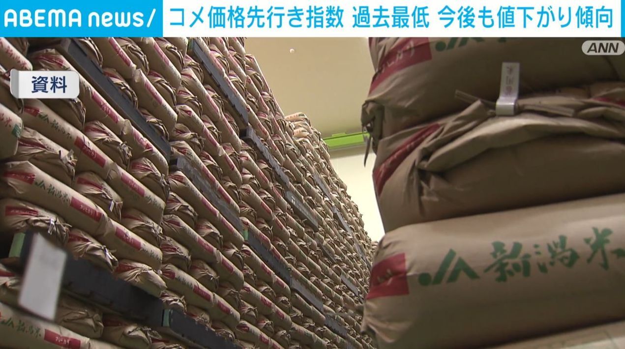 コメ価格先行き指数 過去最低 今後も値下がり傾向