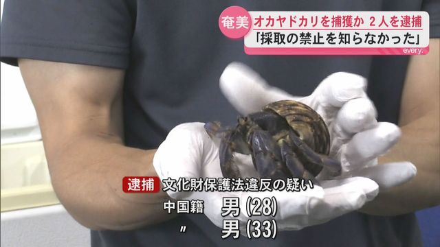 天然記念物のオカヤドカリ約12.8キロを密猟しようとした中国籍2人を逮捕「知らなかった」