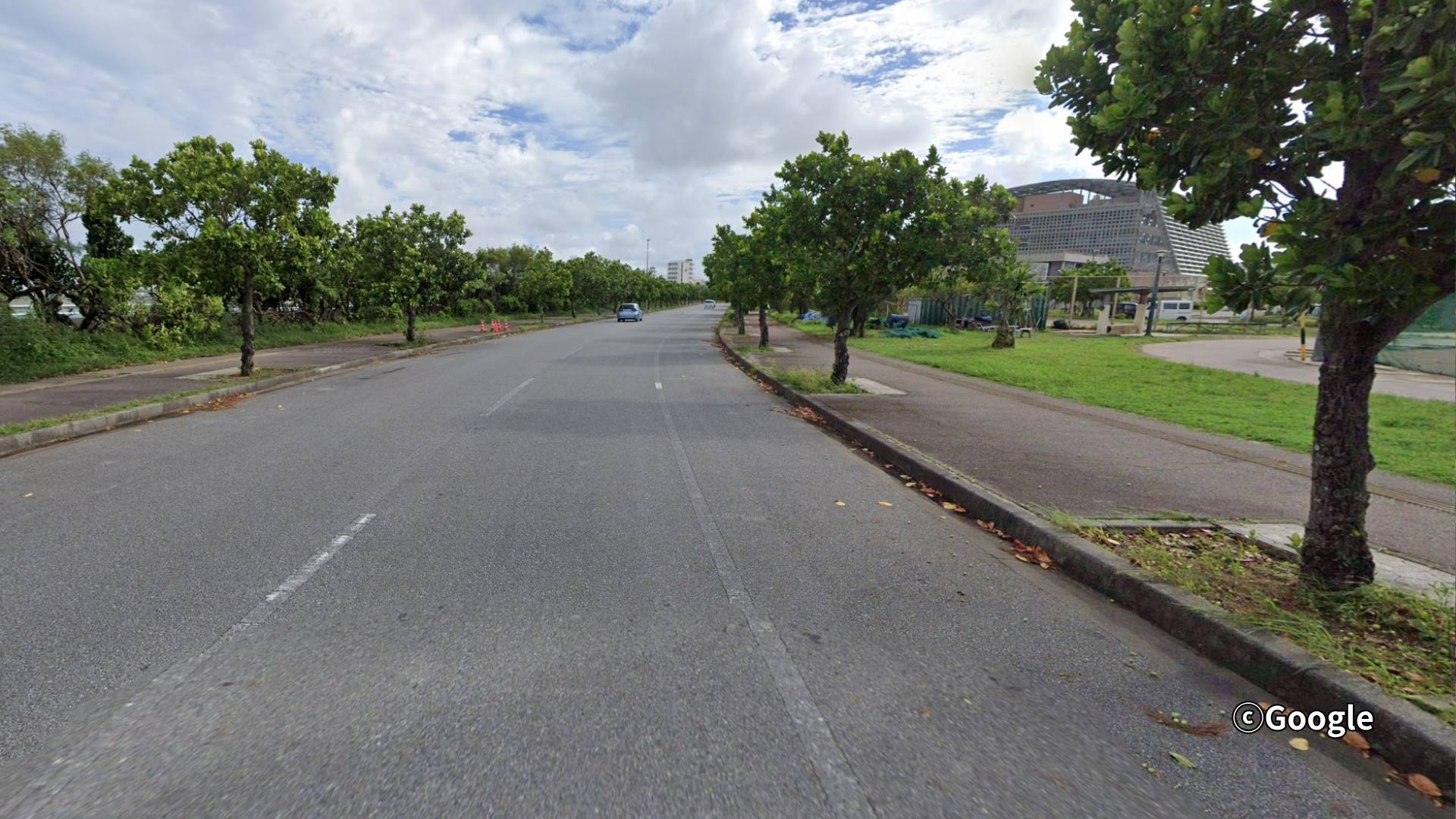 ＪＫ、２人が乗ったオートバイが街路樹に衝突、顔面骨折などの重傷