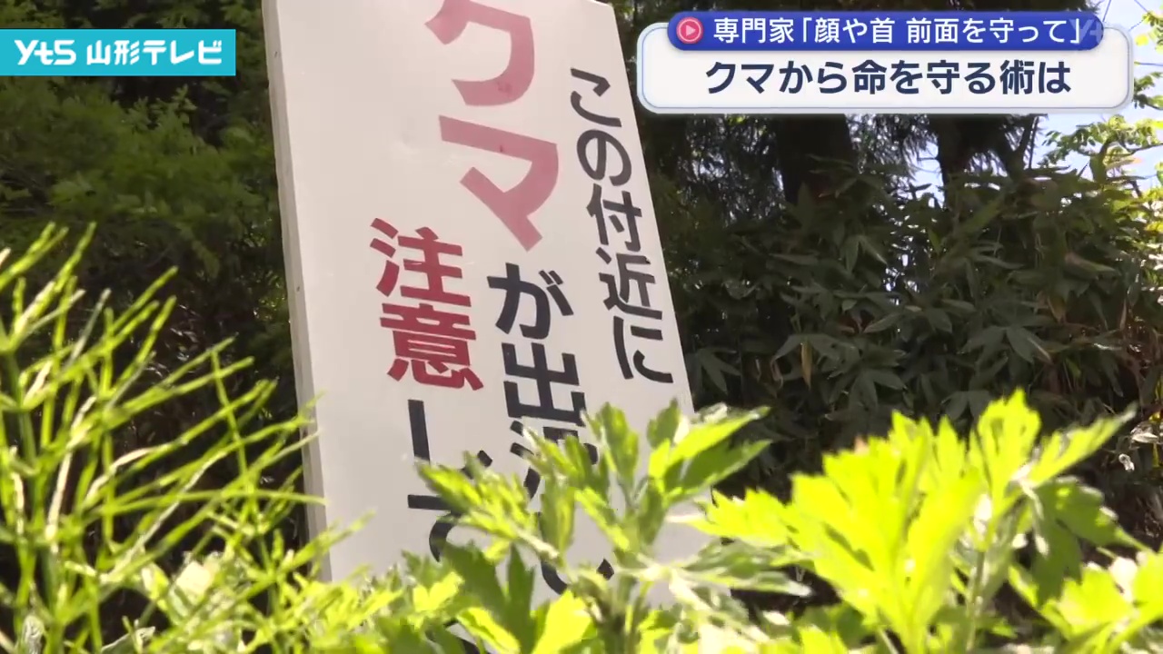 クマから命を守る術