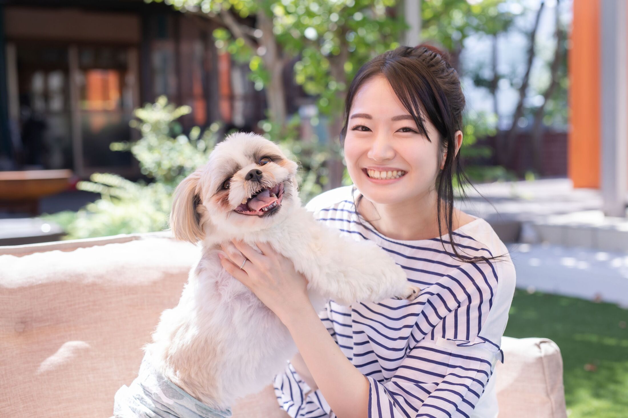 なんでこういう小型愛玩犬のケツメドの周りの白い毛って、茶色になるの？