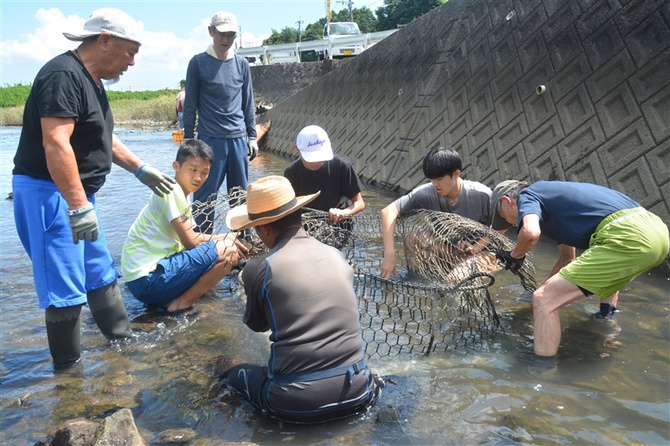 食わないで平気な魚　ウナギ・フグもう一匹は？