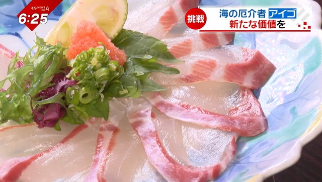 魚・魚介類・動物・雑草・キノコ「日本人はダメだ…毒を持っても食いやがる…どうすればいいんだ…」