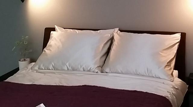 「睡眠障害」が新しい診療科名に追加　6月から組み合わせで使用可能