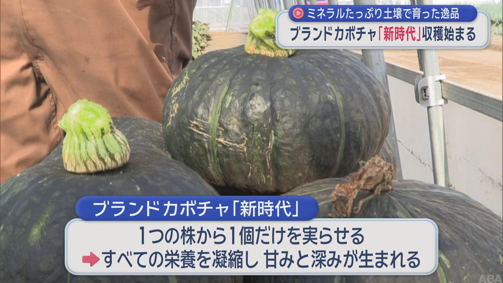 カボチャって主食なのに甘いの許せる？