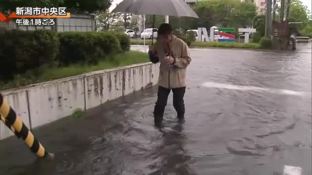 X民、健常者(定型発達)とASD傾向でのミスしたときの謝罪過程で連日連夜激論