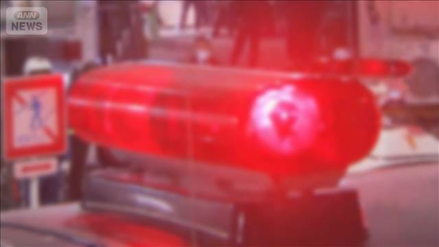 無免許で車を運転って無保険だな、おばあさんはむくわれないよな