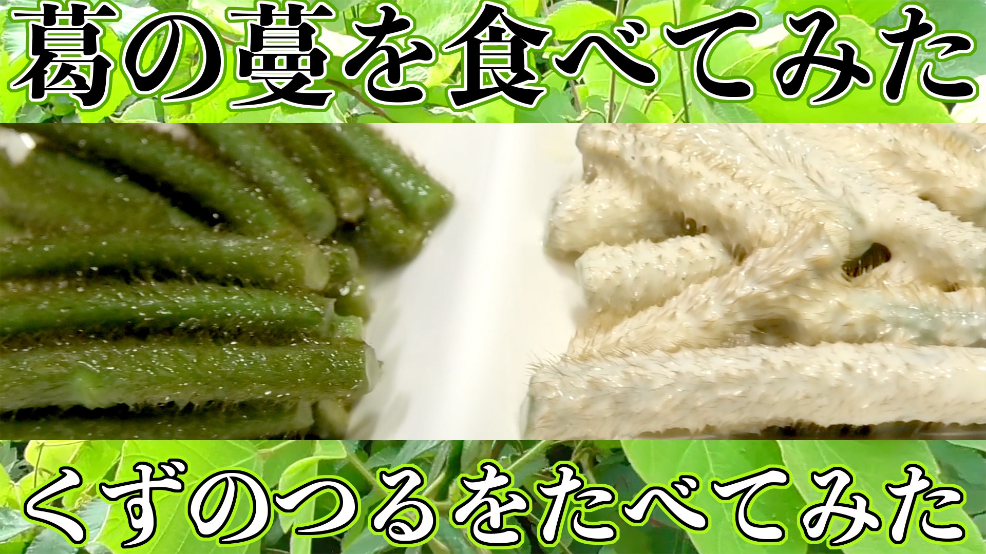 葛の芽をマヨネーズで食っているけど結構美味しいな