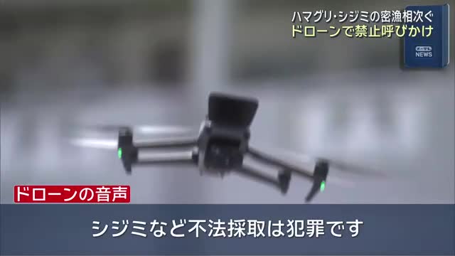 シジミの味噌汁ってシジミが大きかったら身を食うだろ