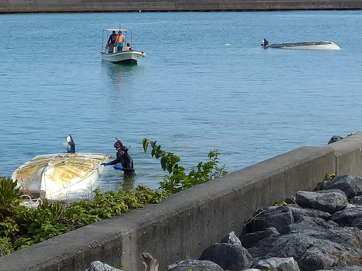【唖然】 辺野古事故、犬の水飲用と同型の献花バケツに値札付きの花、手書きの「しばらく喪に服します｣