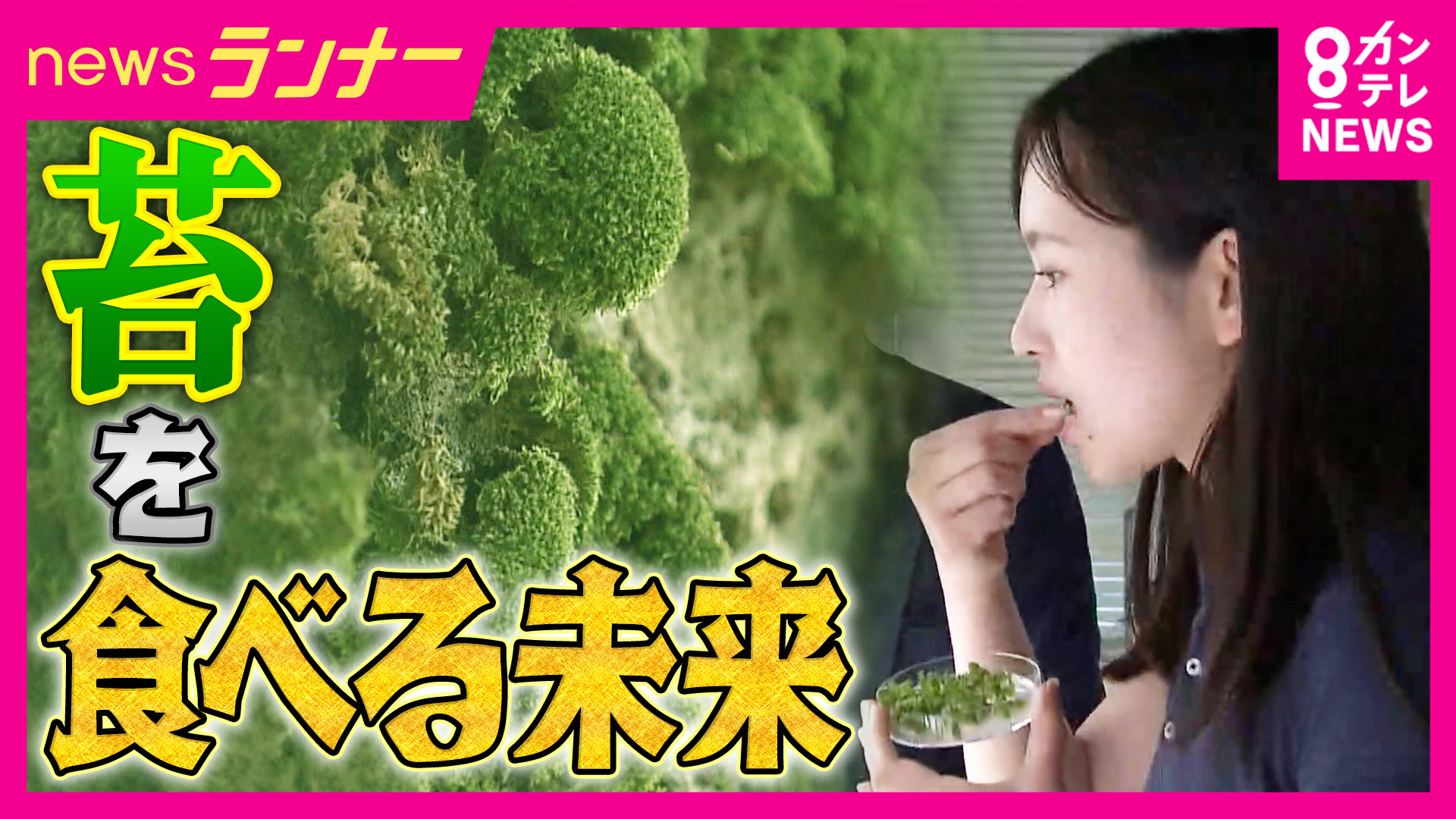 「薬の代わりにコケを食べる未来」も　食用コケ「鉄分ホウレンソウの25倍」