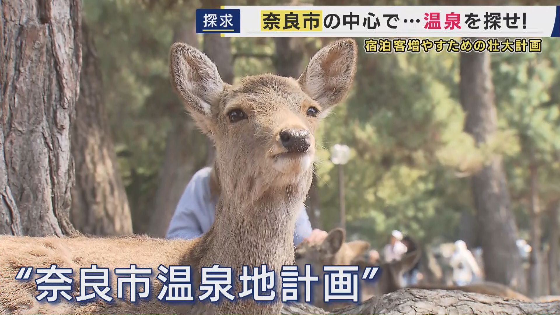 奈良市「観光客が奈良に泊まってくれない。温泉を探そう」