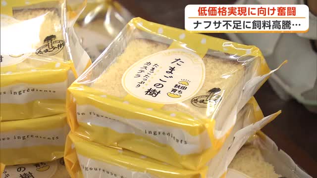 たまご10個入りパック、ナフサ不足で現在価格398円からさらに値上がりする見通し