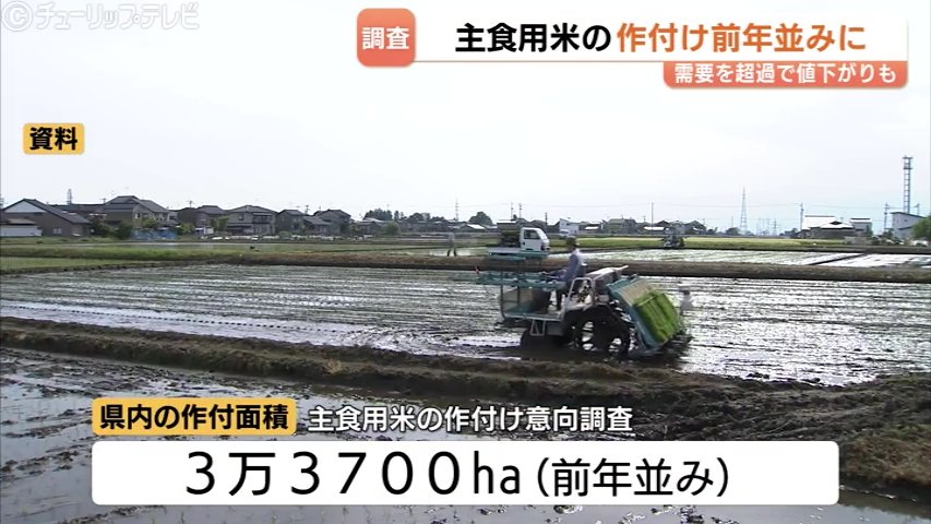 農家「主食米が高く売れる！主食米を主に作るぜ！」主食米のみを作りたい考え