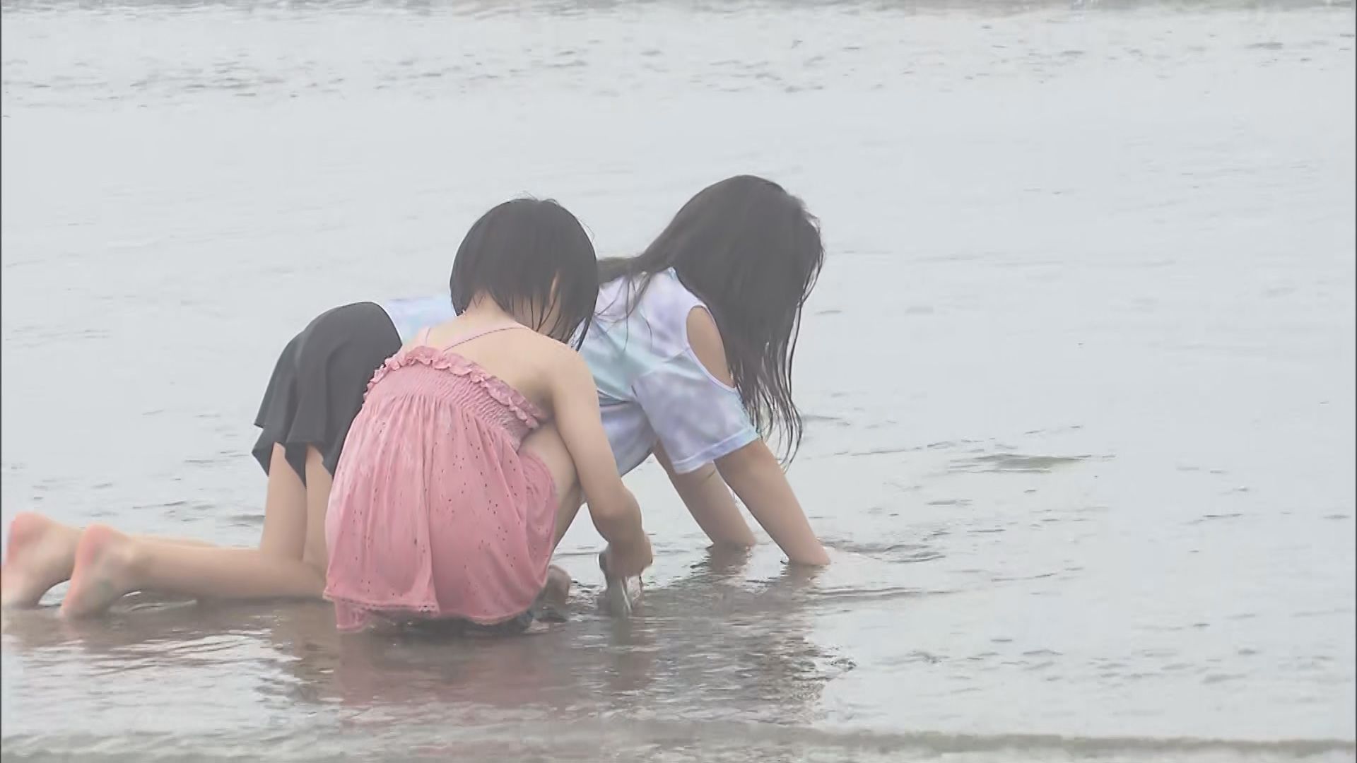 富岡海水浴場で25年ぶりの海開き