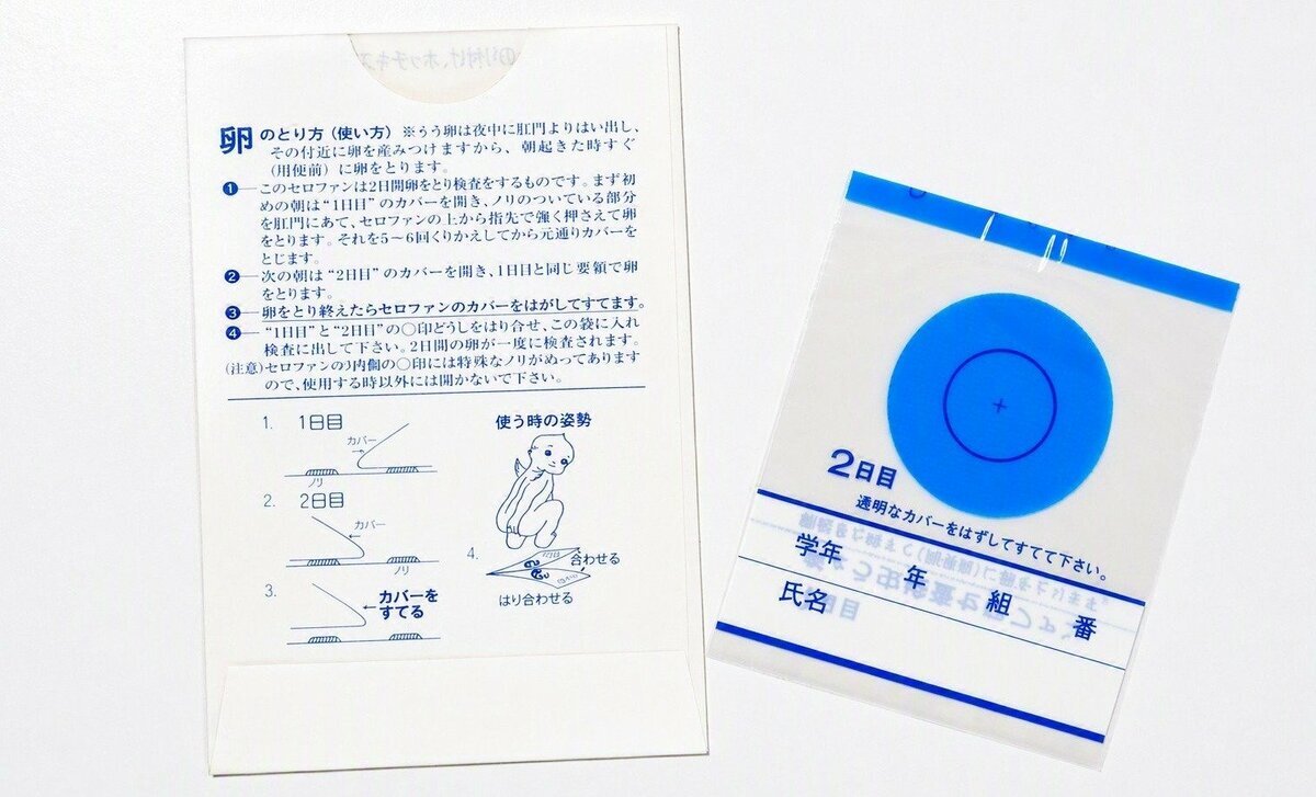 学校のぎょう虫検査 姿消した訳