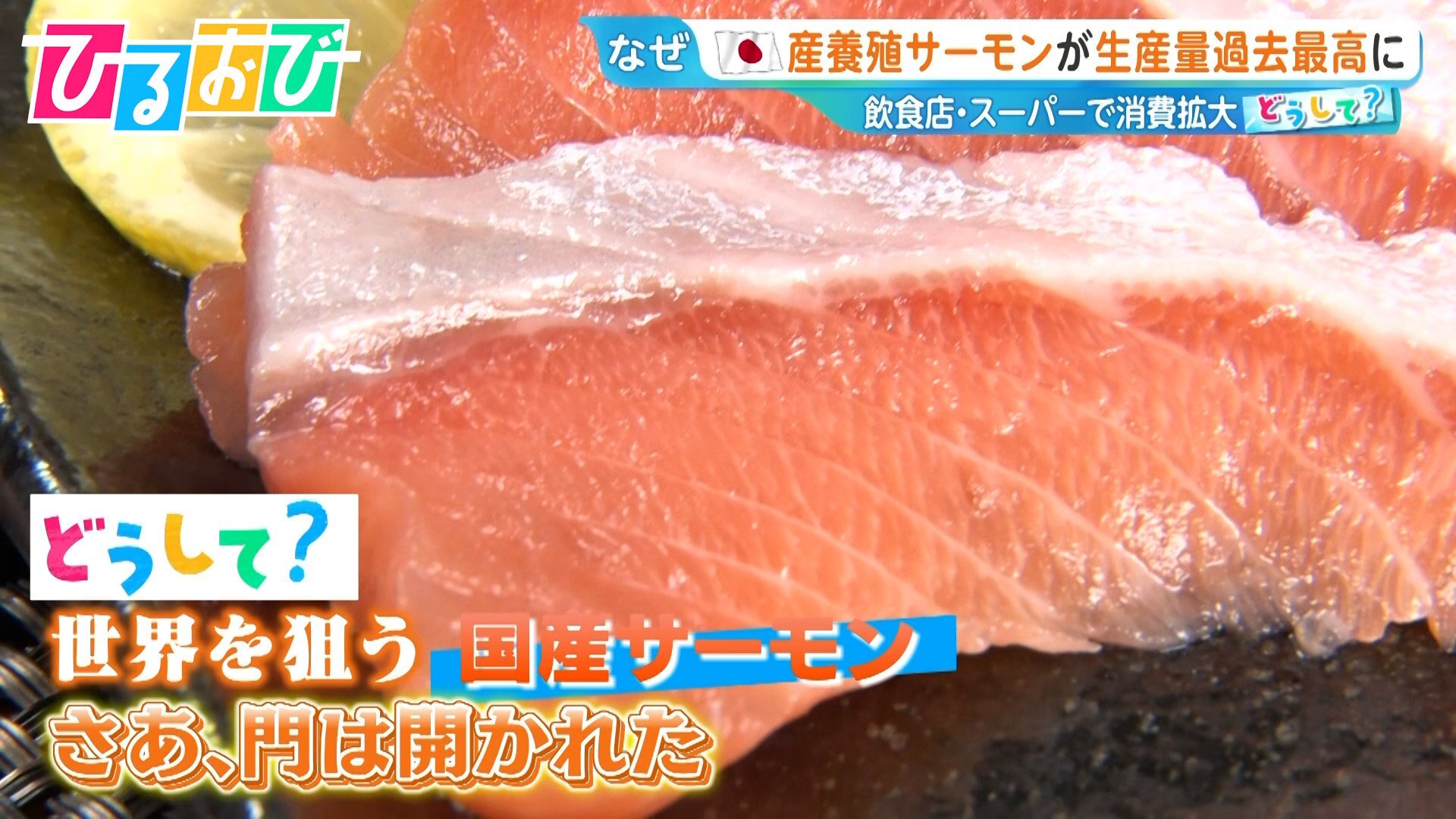 日本のサーモンはブラウントラウト。ニジマス。