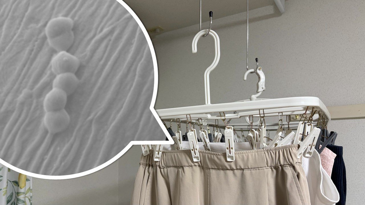 お前らってめっちゃ生乾き臭してそうだけど、生乾きを防ぐのは服を煮るとええんか？