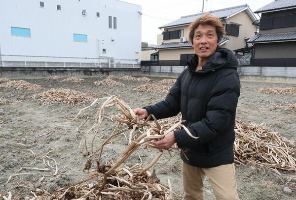 高級品のソーセージって、生で食べると中るだろ？