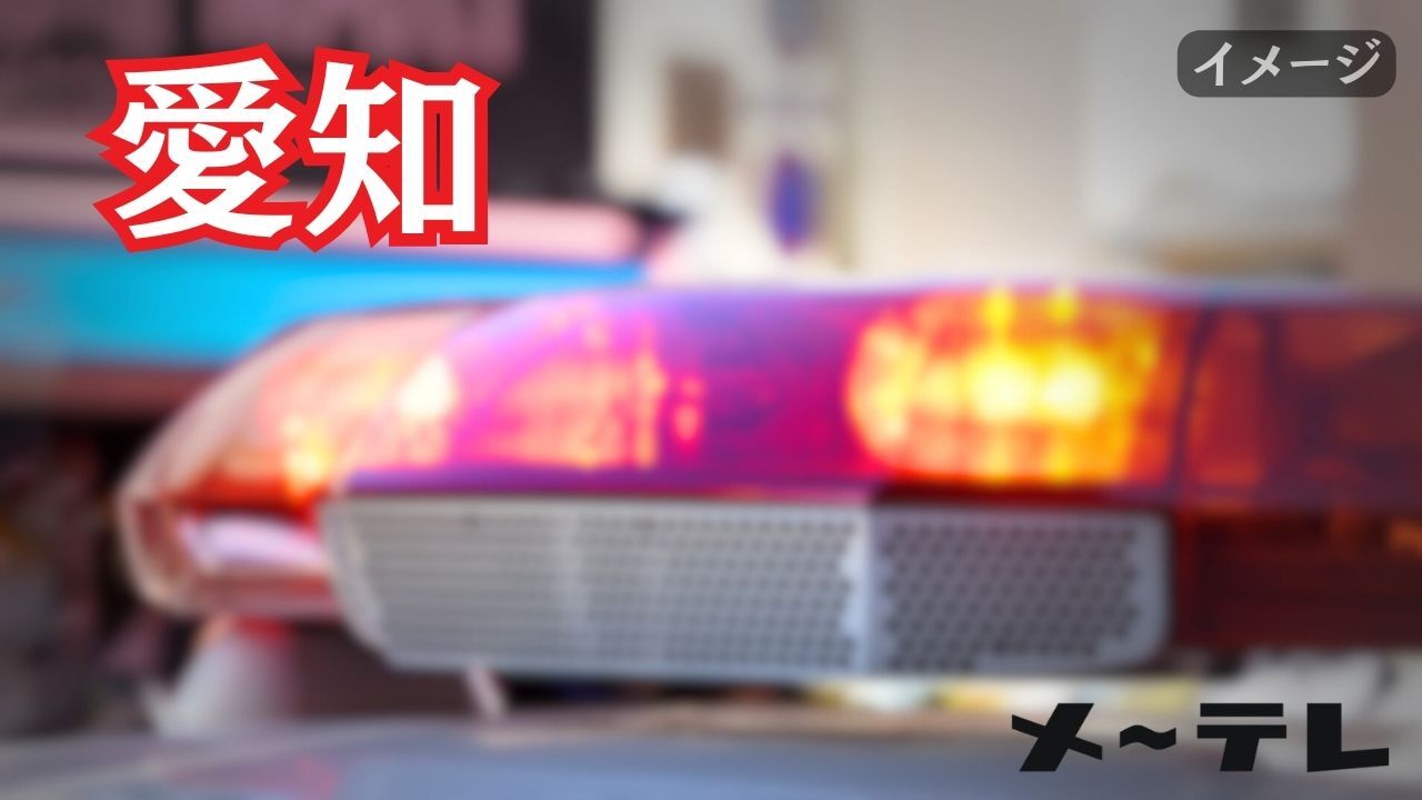 イノシシに男性2人かまれけが　近くで10人がかりで取り押さえる　愛知