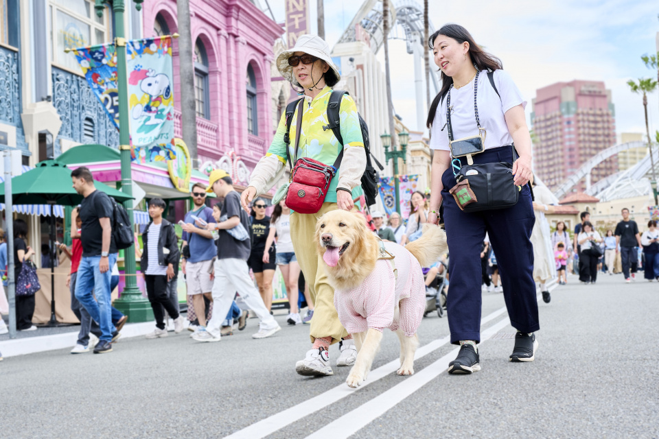 USJは盲導犬と楽しめるらしい