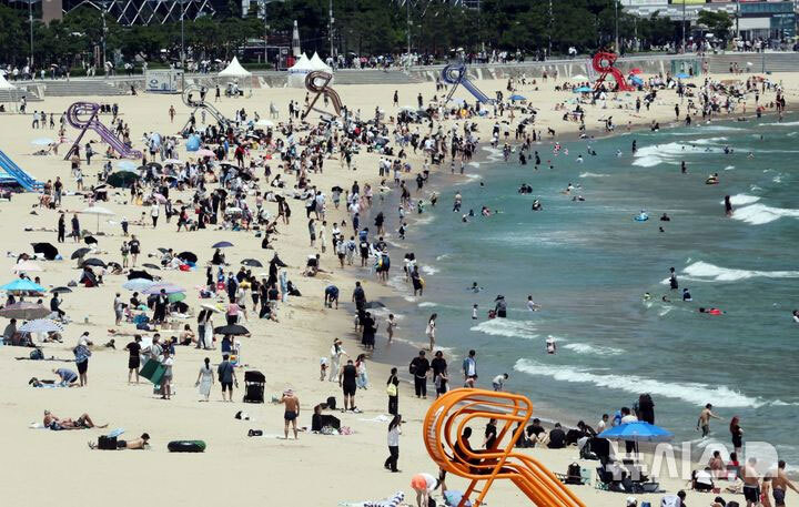 日本などのSNSを埋め尽くす「釜山病」とは？「ソウル病」に続く新ワード！