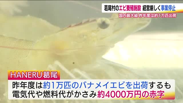 葛尾村のエビ養殖施設が事業停止「これからというときに残念」電気・燃料代かさみ赤字4000万円