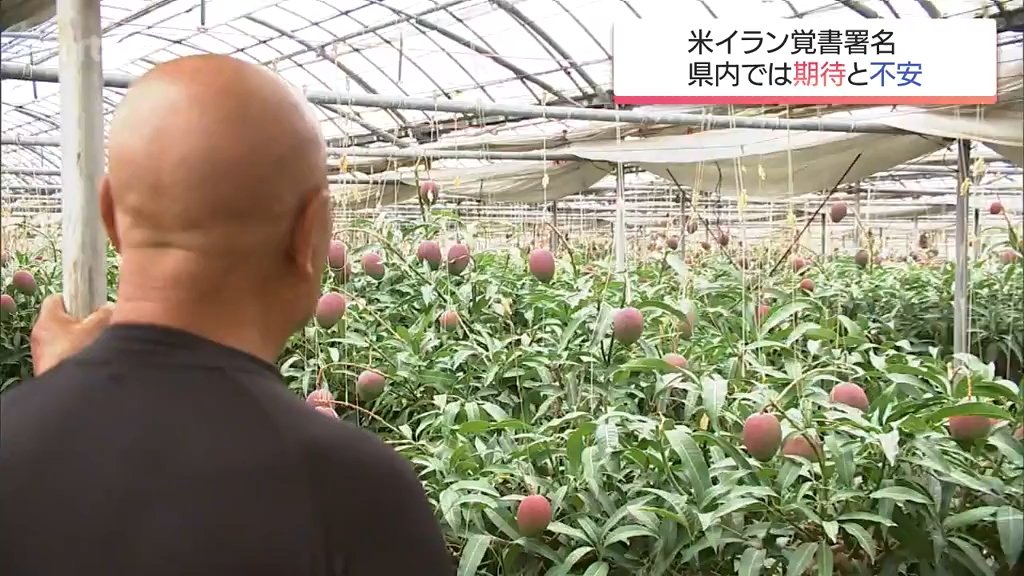 ナフサ芸人・境野春彦さん、すげぇマンジャロトークンの溝口勇児さんとお友達に