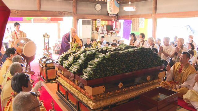きゅうりとミニトマトは畑に植えると異常なくらいに実が付く
