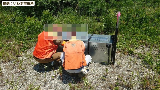 クマトラップ　クマ罠設置　これでもう安心