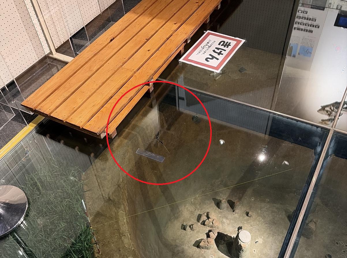 震度5強の浦幌町で博物館被害、函館市では90代女性ケガ、JR特急10本含む66本運休