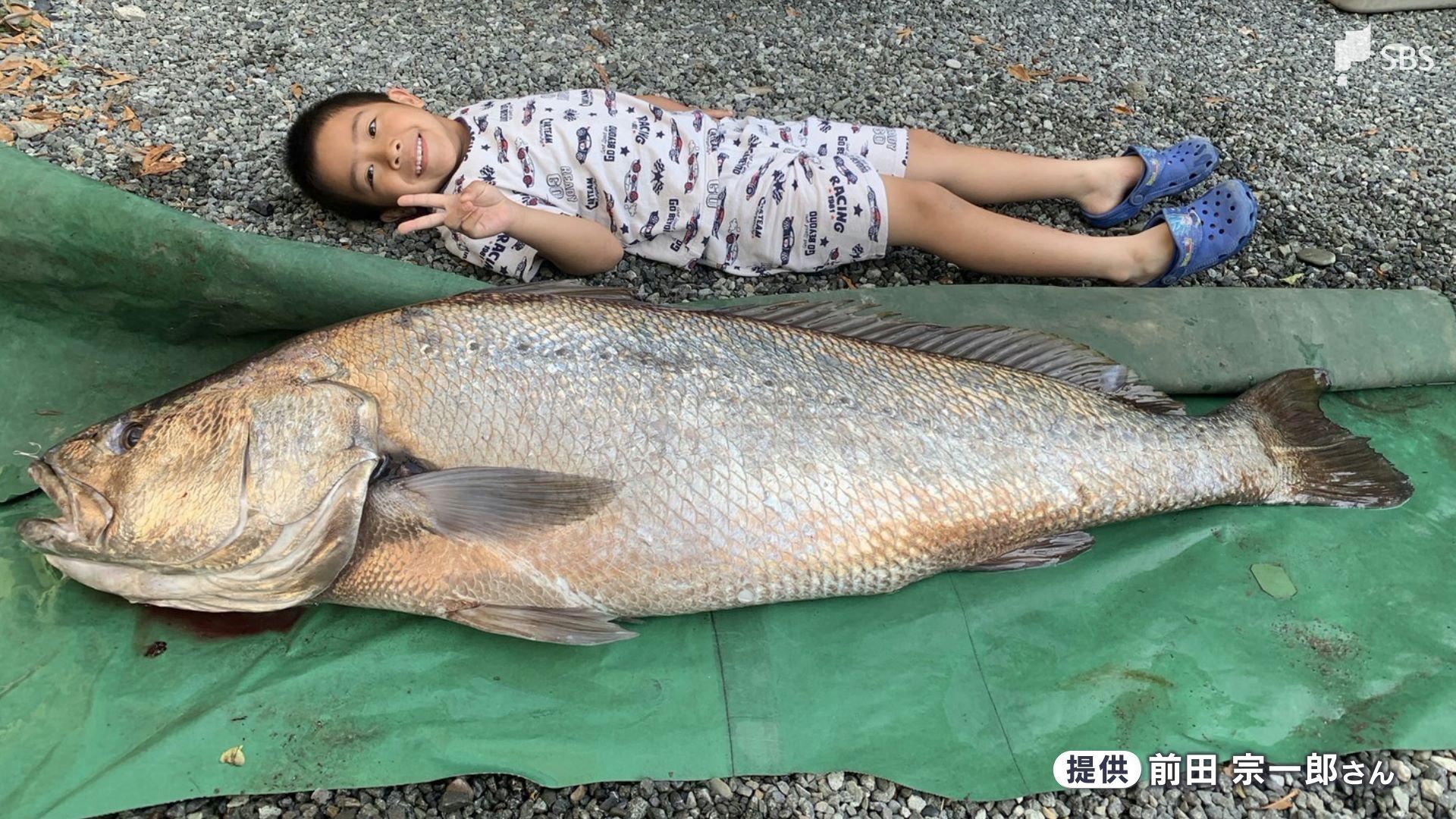 海岸に現れた1.5メートルの"幻の魚" 「オオニベ」と3時間の格闘   奇跡のキャッチ