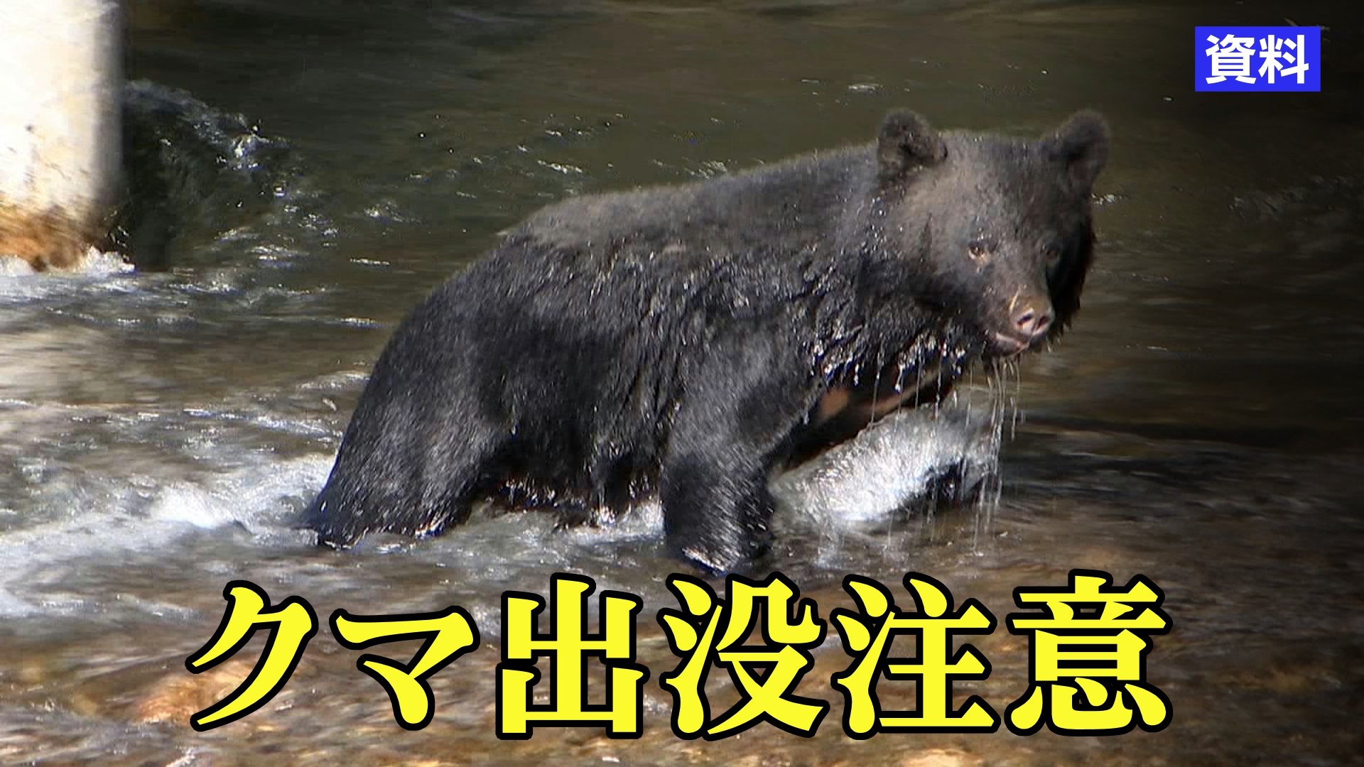 熊よけの爆竹を鳴らしたら火が燃え移り山林火災　警察「鳴らすときは缶の中に入れて火をつけて」