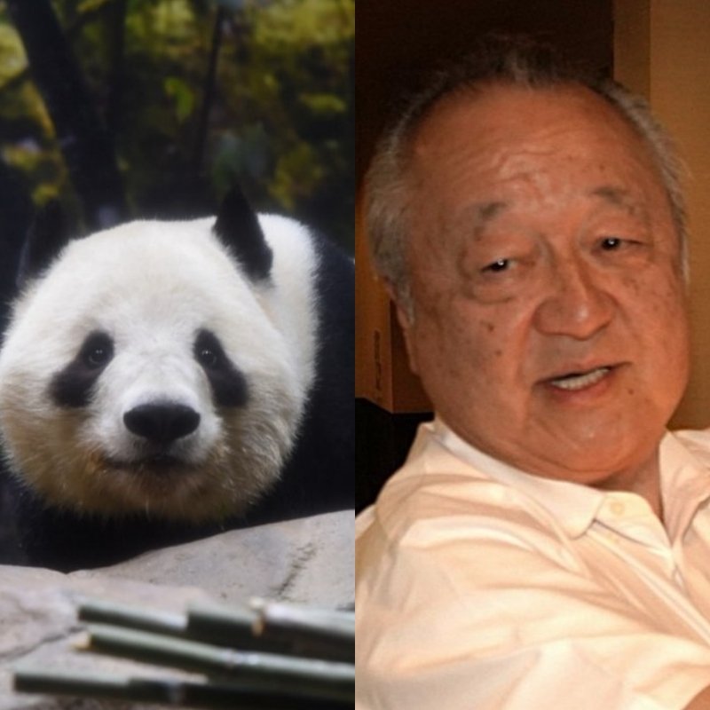 石原慎太郎氏『パンダなんて単なるクマだろ。なんでその動物にこだわるの？』