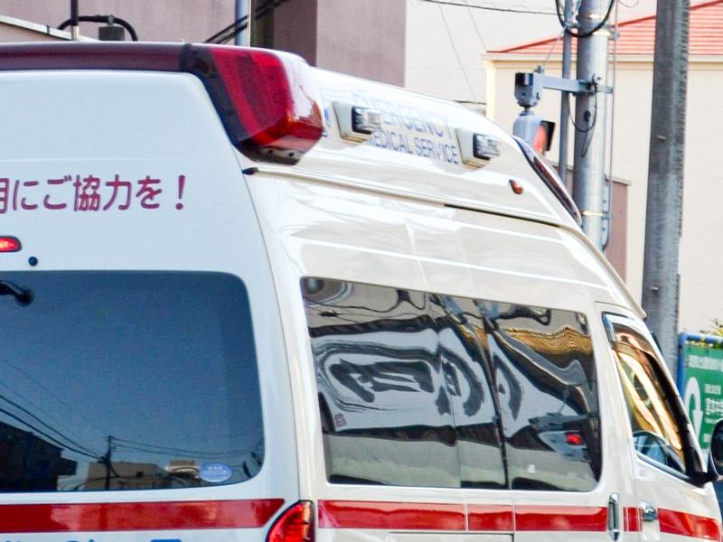 死んだら、お寿司食べれんっちゃないと(´・ω・`)❓