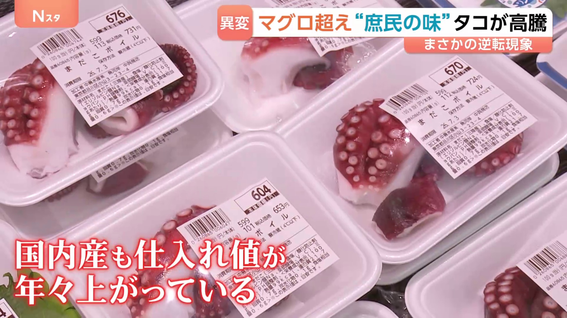 タコが高級魚に。養殖も絶望的な肉食だしどうすんの？