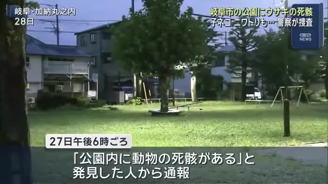 子ネコ、ニワトリに続いて…　岐阜市の公園で切断されたウサギの死骸が見つかる