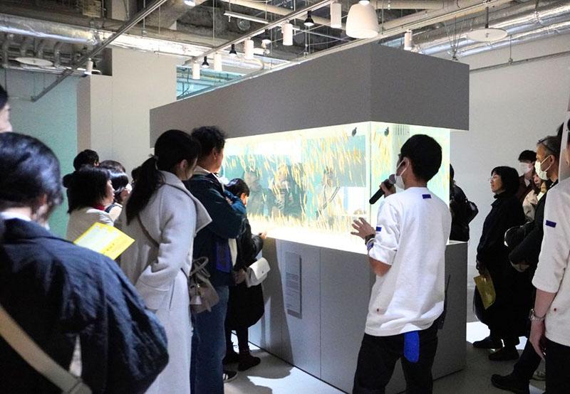 札幌の水族館が開業1111日　ヘコアユ＆チンアナゴまつり