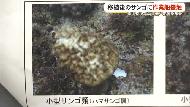 辺野古で船がサンゴに接触！😱🪸💥🛥