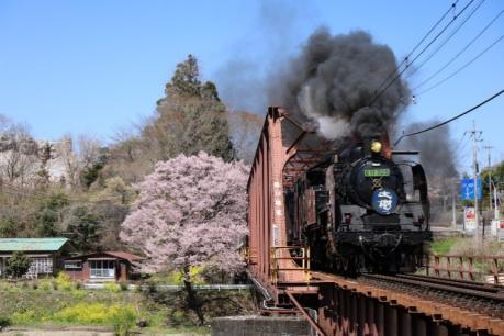 「関東北部」と「東北南部」を結ぶSLツアー列車登場！ 「SL大樹『土津』」、6月27日・28日に運転