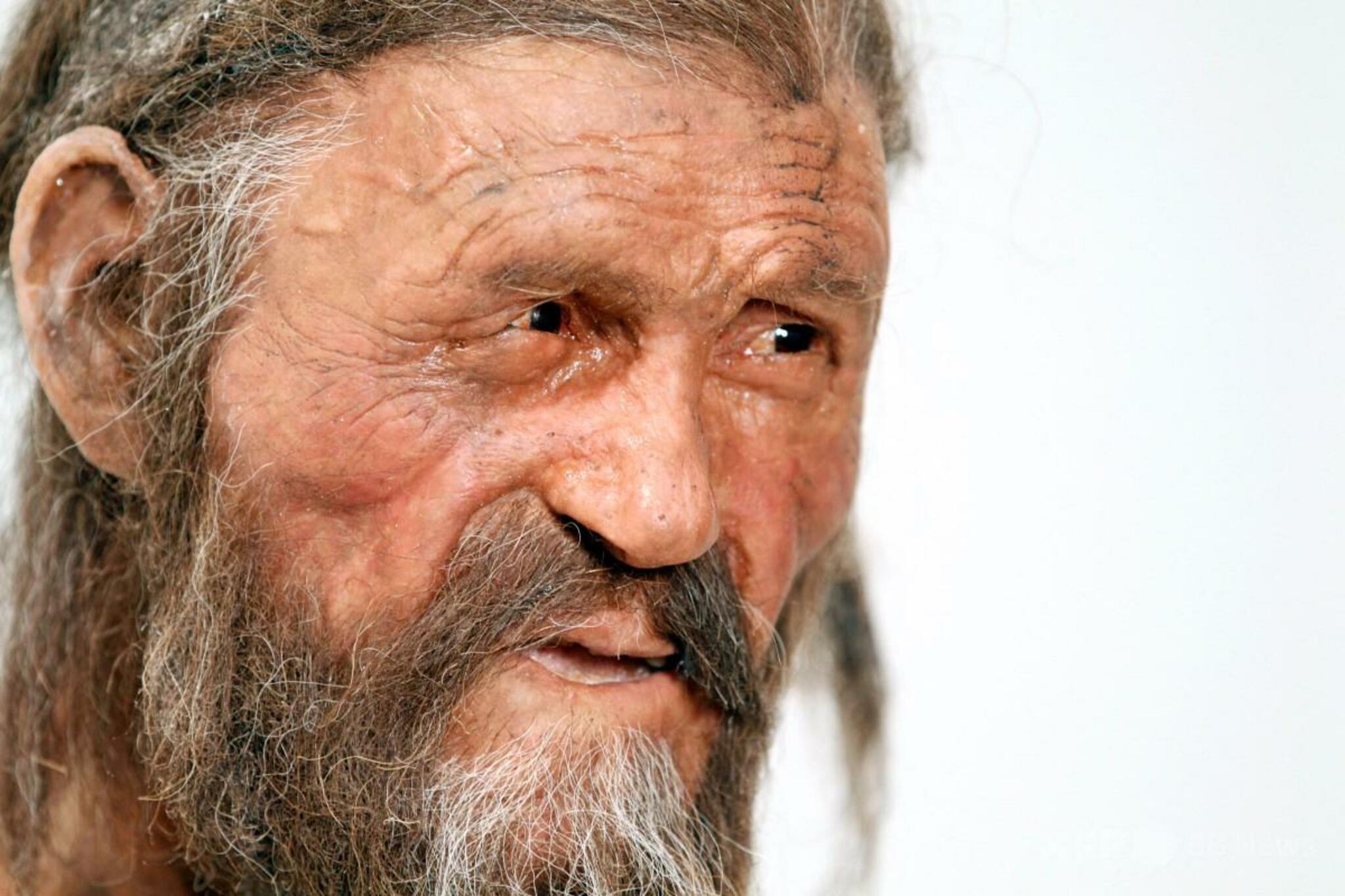 5300年前のミイラの腸内から採取した酵母で作ったほかほかパンが焼き上がる🥖