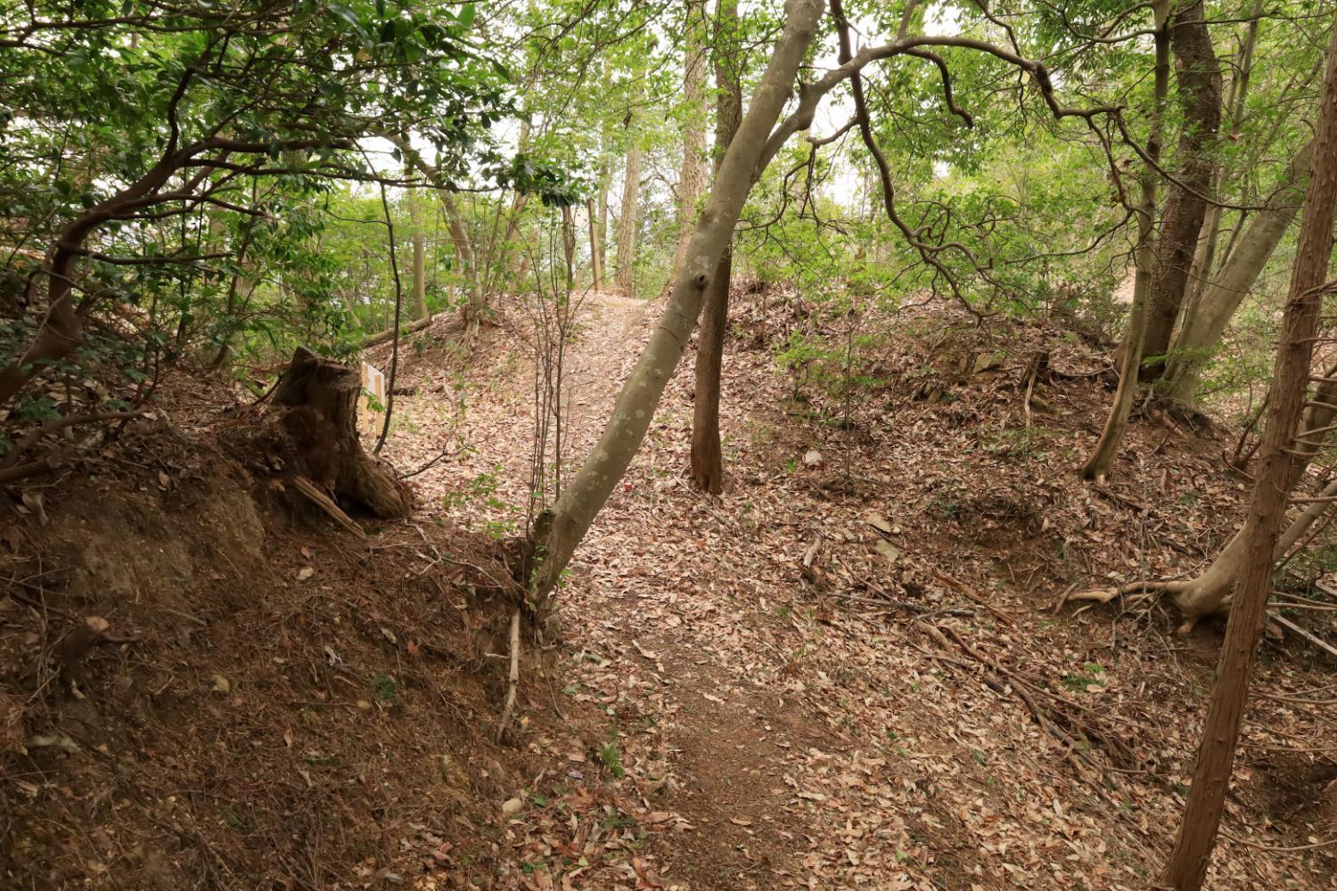 石田三成「干し柿は喉に悪いから食べない」兵士「今殺されるのに体に悪いって変な奴だな」
