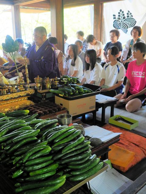 1千本のキュウリに無病息災願う