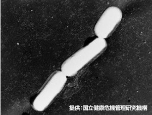 ホテルで高校生ら353人中110人が食中毒　ウエルシュ菌