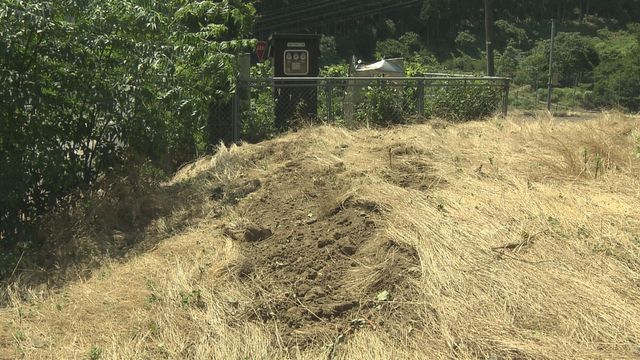 バイク（京都２１）げな。経験から言うと乗り物は３０キロ以上は危険とよ❓(´・ω・`)🍛