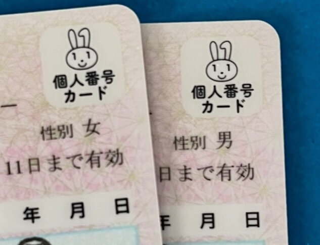 マイナ取得義務化を見送り 政府