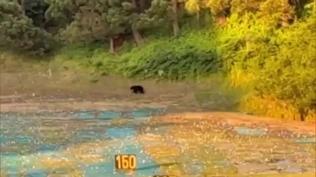 クマがゴルフ練習場に 40人見守る