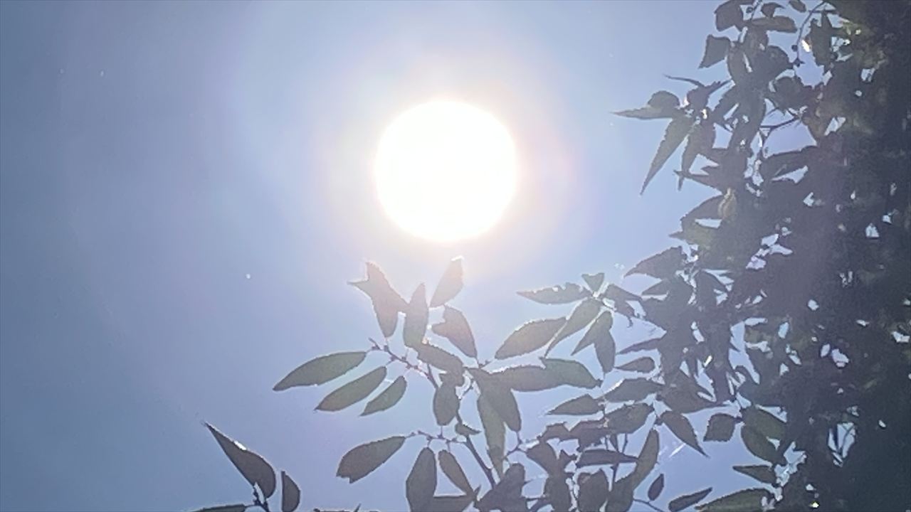 お外ポカポカ　気温ちょうどいい感じ！