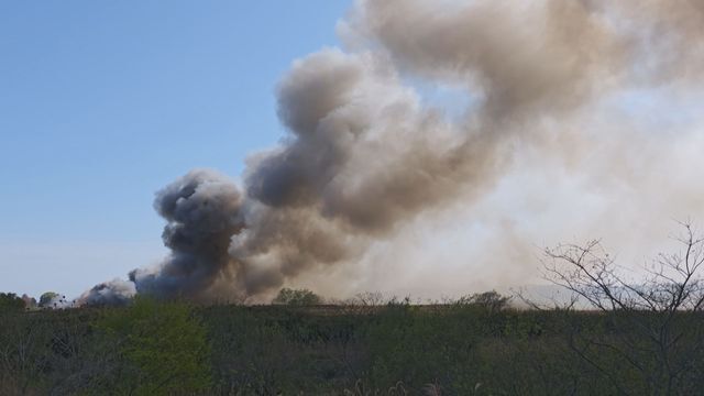 一体なぜ？2023年から現在にかけて全国各地の養豚場で火災が発生