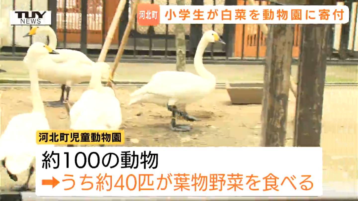 俺の食費が年24万円なのに動物園のコアラの年間食費が3億円…なんでや？